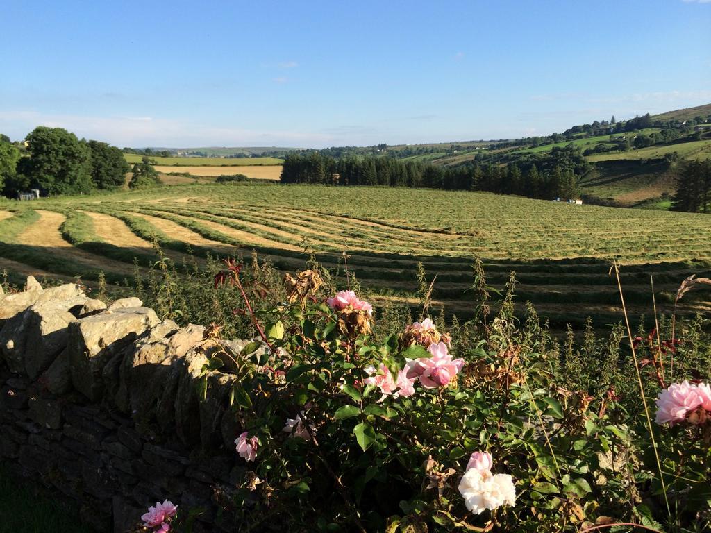 The Bothy Self Catering Accommodation Rousky ภายนอก รูปภาพ